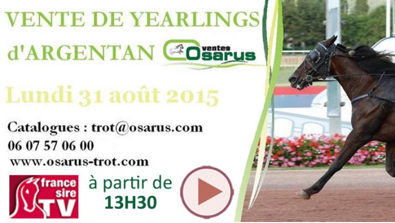 vente trotteur argentan