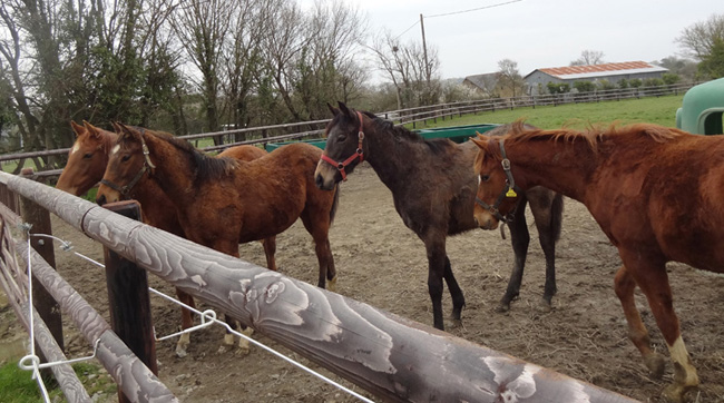 centre de rencontre les mottes