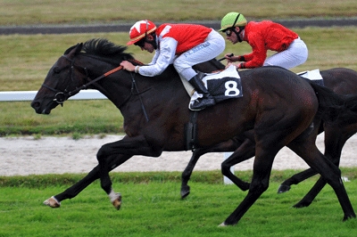 arco_celeste_victoire arco celeste