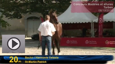 arco_celeste_video_elite Arco Céleste au concours Elite de Tarbes