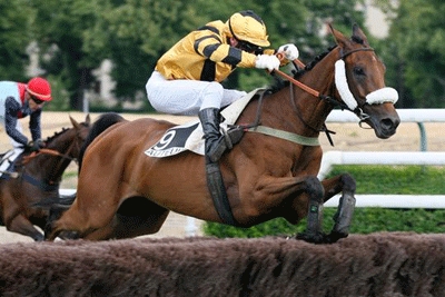rock_n_roll_de_poligny Rock'n Roll de Poligny