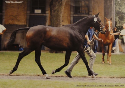 Rime_de_Lagarde_concours Rime de Lagarde au concours de Tarbes