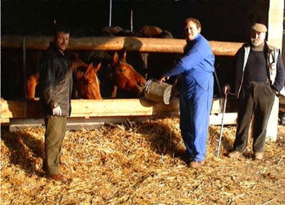 claude_yves_pelsy L'élevage d'Airy, en Lorraine, chez Claude-Yves Pesly