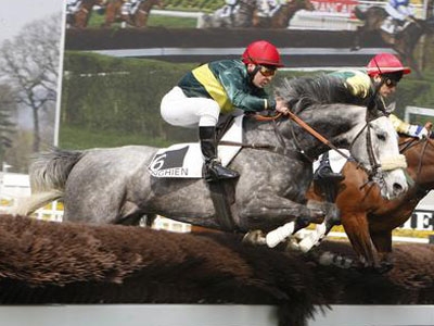 siam_de_la_roque Siam de la Roque