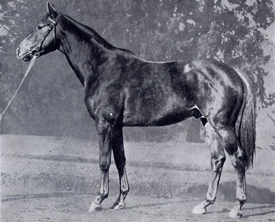 Fayriland_II_ok Fayriland II