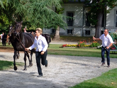 patrick_devezac_tarbes patrick davezac