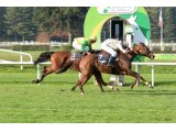 Tamaline, victoire en steeple à Lyon-Parilly le 8 novembre 2014