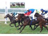 Ulyssa des Mottes, gagnante à 3 ans à Argentan