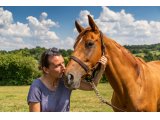 I Want It All (Majorien & Deltichope)