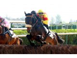 Voiladenuo à Auteuil