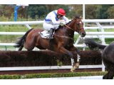 Pour Toi Georges à Auteuil