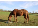 Comme Maman (Ballingarry & Merci Pierji)