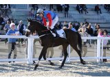 Gamin d'Oudairies - Prix Antoine de Palaminy (Listed) 2020 - Pau