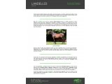 Pedigree Landelles