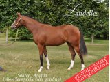 Landelles par High Chaparal