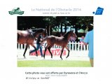 Concours du National du haras du Pin 2014 