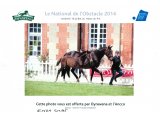 Concours du National du Haras du Pin 2014