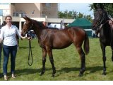 Evidence Bleue (Maresca Sorrento & Tunique Bleue)