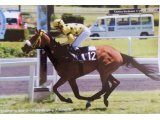 1 ère place à  CASTERA-VERDUZA sur 2.400 mètres 