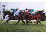 Heaven Tune, gagnante du Grand Prix de Rochefort 2012