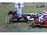 Heaven Tune, gagnante du Grand Prix de Rochefort 2013