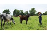 Femelle de Sunday Break et Bright Tango, le 1e juin 2016