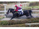 Gaïa de Sarti par Great Pretender & Tina de Sarti