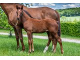 n. 2021 m. Bathyrhon & Work Of Art - juin 2021