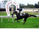 Sun des Mottes, gagnante à 3 ans à Moulins (GP des Femelles)