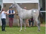 It's For You Mum (Lord du Sud & Odile)