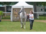 It's For You Mum (Lord du Sud & Odile)