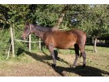 Just In (Star Fast & Raïka)