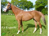 La Roquette