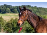 n. 2020 m. Choeur du Nord & Valley Victory - Juin 2020