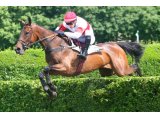 Banco des Mottes lors de sa victoire dans le Prix Jasmin II à Auteuil