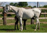 Misedargent par Kendargent & Miss Sinbad - Juin 2021