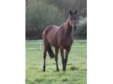 Tataouin