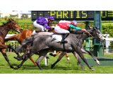 Débuts victorieux de Lady Paname dans le Prix Chaillot à Saint-Cloud