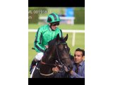 Grafelli, par Hannouma, double vainqueur de Gr.3 en Irlande à 2 ans