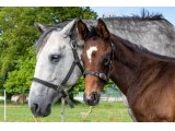 n. 2021 m. Bande & Fodile - Mai 2021
