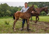 Lythos'K m. 2021 Bathyrhon & Diem Bourgeoise - juin 2021
