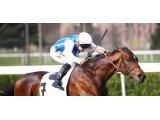 internaute tete