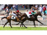 Audacious Girl, ses débuts victorieux