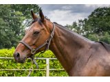 Norma du Lémo par Roli Abi & Jolie Joyau