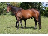 City Nebula (Astarabad & Chicita du Berlais)