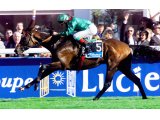 Sinndar - Prix de l'Arc de Triomphe