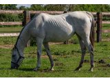Misedargent par Kendargent & Miss Sinbad - Juin 2021