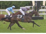 Boss des Mottes, gagnant de sa course AFASEC à Maisons-Laffitte