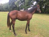 25/08/2023