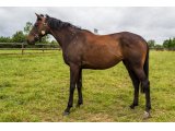 Divine Prestige par Kapgarde & Prestige Girl
